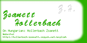 zsanett hollerbach business card